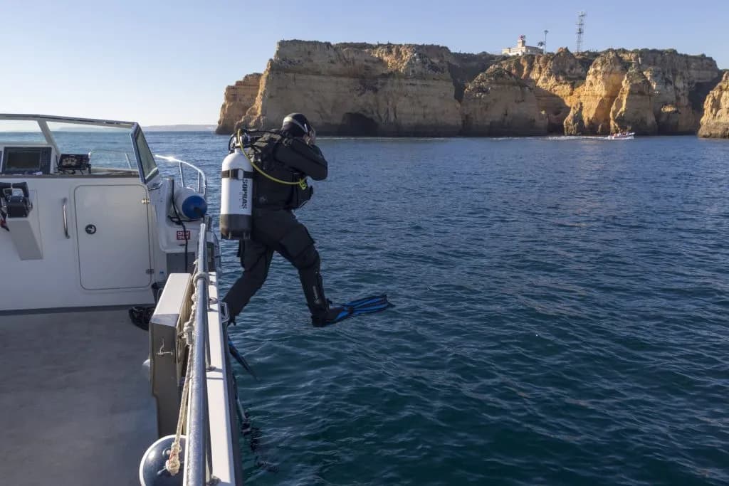 Diving - image 3