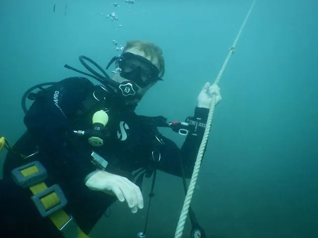 Diving - image 4