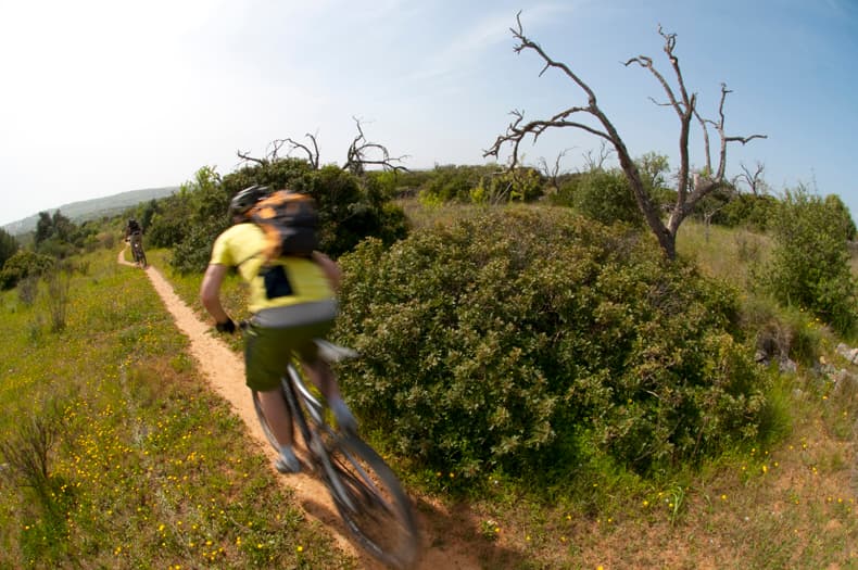 Mountain Biking - image 5