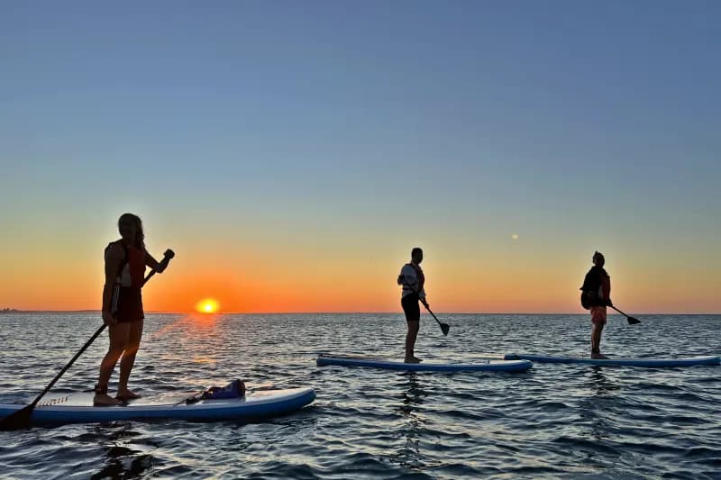 A group of people with surfboards looking at the ocean